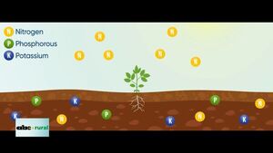 ¿ Que son los bioestimulantes? - ABC Rural - ABC Color