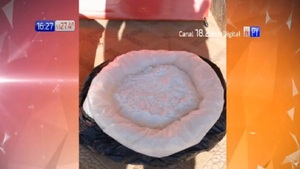 Dan con 80 kilos de cocaína de alta pureza | Noticias Paraguay