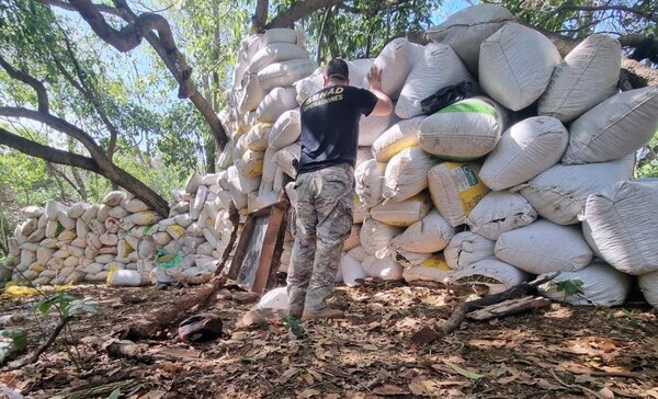 Paraguay narco: Senad reporta caída de 42 ton. de marihuana, pero no alude a personas detenidas – La Mira Digital