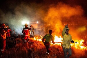 Las reservas forestales son las más afectadas en temporada de incendios - Megacadena — Últimas Noticias de Paraguay