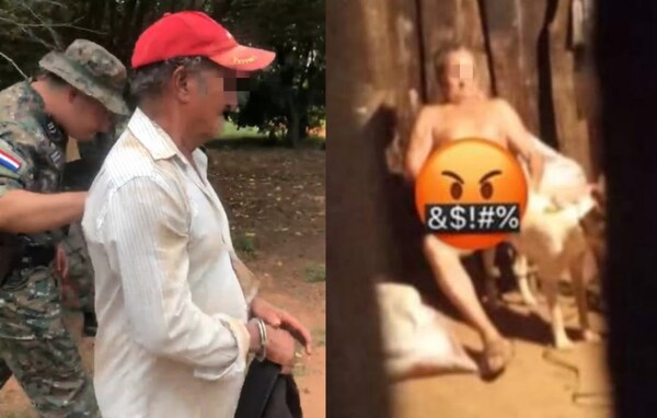 Condenan a un hombre por abusar sexualmente de su mascota en Caaguazú - Noticiero Paraguay