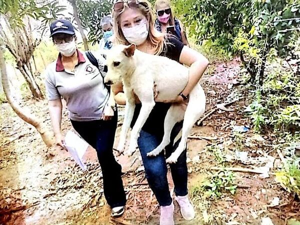 Hombre fue condenado por abusar sexualmente de su mascota