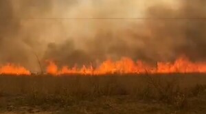 Advierten sobre riesgo de incendios forestales - ADN Digital