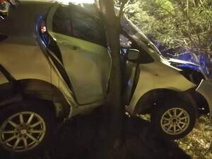 Crónica / Un árbol se quiso “subir” al auto y dejó machucado al conductor