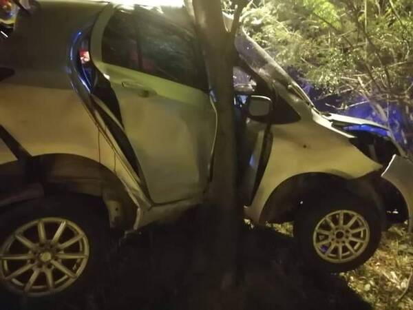 Crónica / Un árbol se quiso “subir” al auto y dejó machucado al conductor
