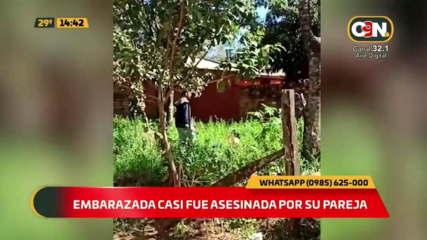 Embarazada casi fue asesinada por su pareja - C9N