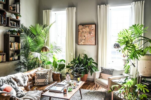 Cinco plantas grandes de interior para preparar la casa para el verano