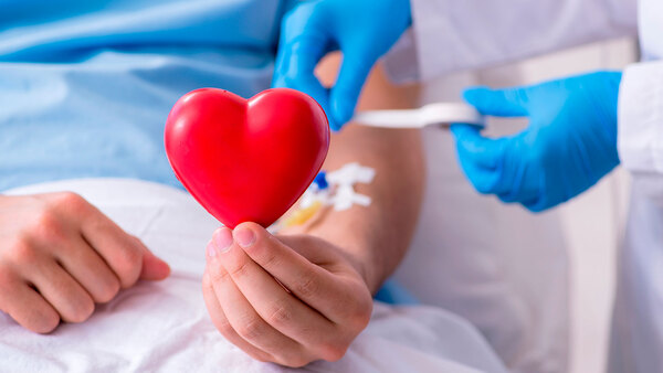 Diario HOY | Lo que no se conoce de la donación de médula ósea, un gesto de amor que también salva vidas
