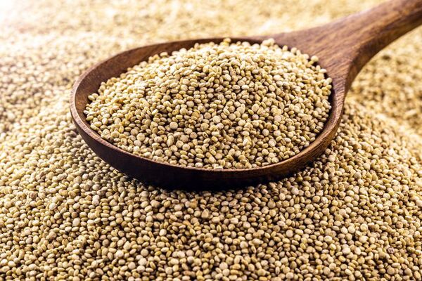 La quinua podría ser el superalimento que faltaba en tu dieta - Gastronomía - ABC Color