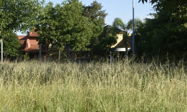 Degenerado fue detenido tras violentar sexualmente a un niño