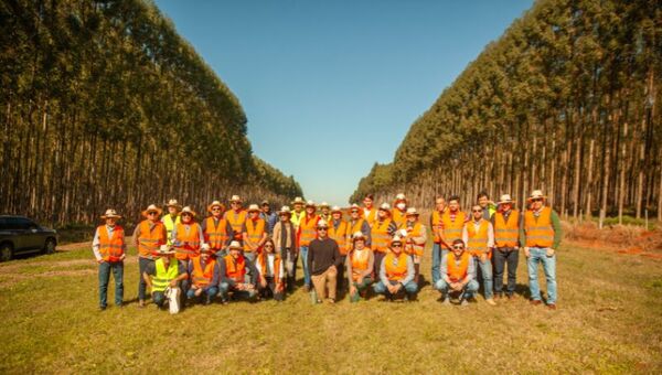 El Fondo de Inversión Eco Forestal I de Cadiem genera un triple impacto.