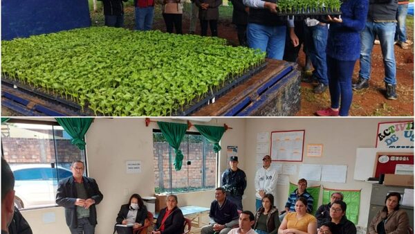 COMUNA DE TAVAPY ENTREGÓ PLANTINES DE SANDÍA DONADOS POR LA FUNDACIÓN PERIER
