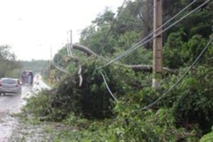 Temporal con vientos fuertes deja sin energía eléctrica a varias ciudades