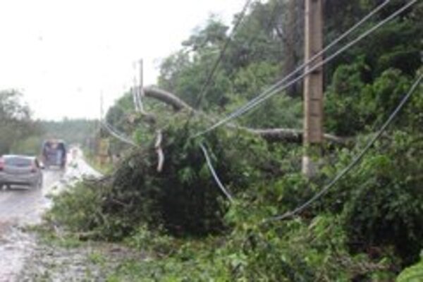 Temporal con vientos fuertes deja sin energía eléctrica a varias ciudades