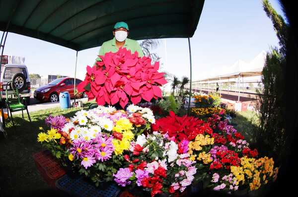 Feria de la Agricultura Familiar por la “Primavera y Juventud” este miércoles en la explanada del canal 9 - .::Agencia IP::.