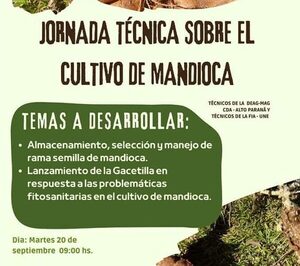 Organizan jornada técnica sobre cultivo de mandioca