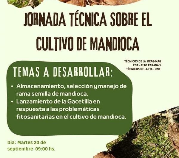 Organizan jornada técnica sobre cultivo de mandioca