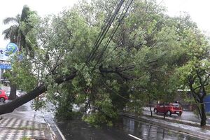 ANDE dice que falta de energía se repondrá pronto - Nacionales - ABC Color