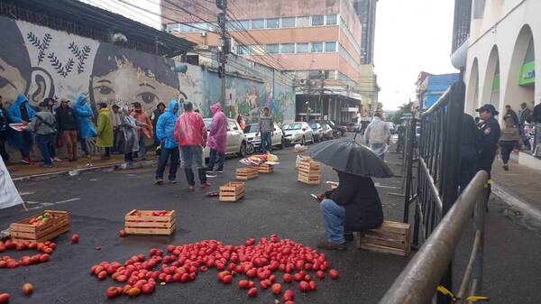 Crónica / Productores de tomate tiran anga sus productos por causa del contrabando