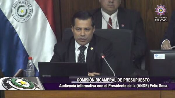 PGN 2023: ANDE no contempla ajuste tarifario - Economía - ABC Color