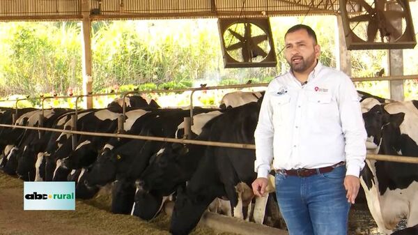 Sistema Freestall para el bienestar del ganado lechero - ABC Noticias - ABC Color