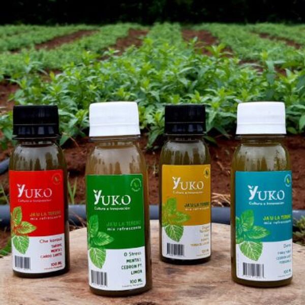 Yuko, la firma nacional que embotella extracto de yuyos, tradición y cultura