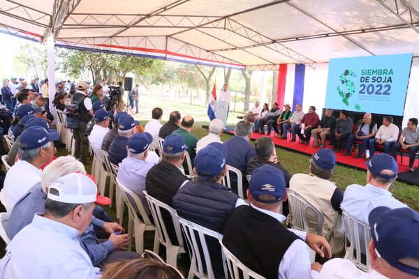 Zafra sojera 2022/23: Arranca una nueva ilusión en el sector agrícola - La Clave