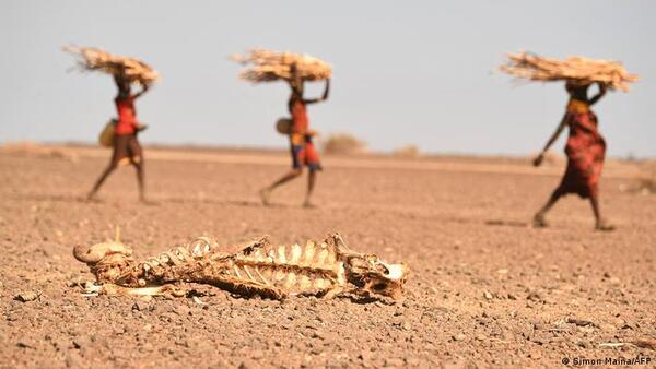 Cada 4 segundos un ser humano muere de hambre en el mundo