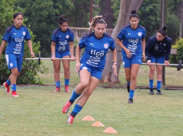 Continúan los preparativos - APF