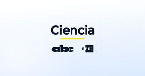 Salesforce anuncia Genie, que integra datos de los clientes en tiempo real - Ciencia - ABC Color