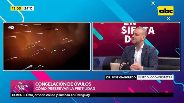 Congelación de óvulos: cómo preservar la fertilidad - ABC Noticias - ABC Color
