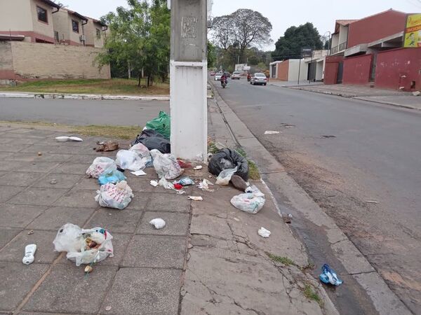 Basura, moscas y alimañas - Crónicas Ciudadanas - ABC Color