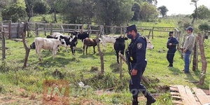 Diario HOY | Asalto y violación en granja de San Pedro, un detenido y pandilla identificada, afirman