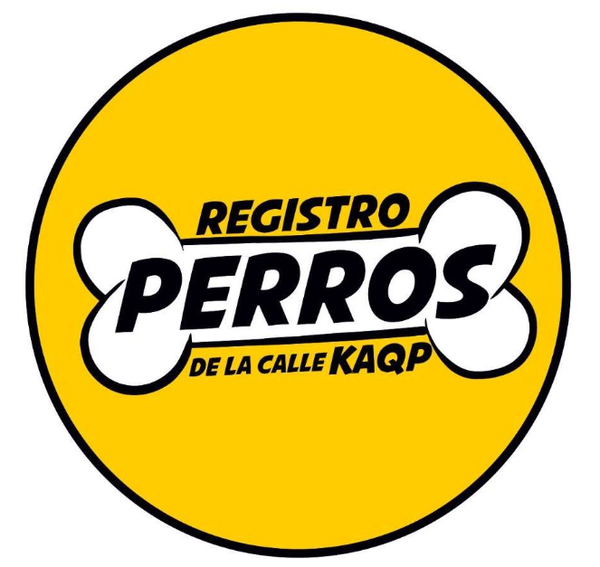 Diario HOY | En Caacupé organizan el “Tattoo Flash” para ayudar a los perros callejeros