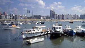 Montevideo reduce impuesto para shows de artistas del mundo