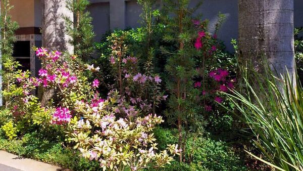 Consejos para preparar el jardín y recibir a la estación de las flores
