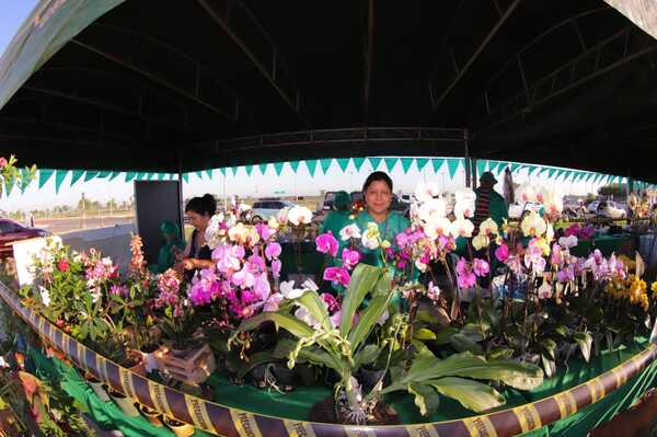 Inició la feria de la Agricultura Familiar Campesina por el «Día de la Primavera y Juventud» - .::Agencia IP::.