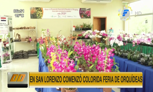 Comenzó la colorida feria de orquídeas en San Lorenzo | Telefuturo