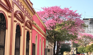Día de la Primavera algunos tips para vivirlo como se debe - OviedoPress