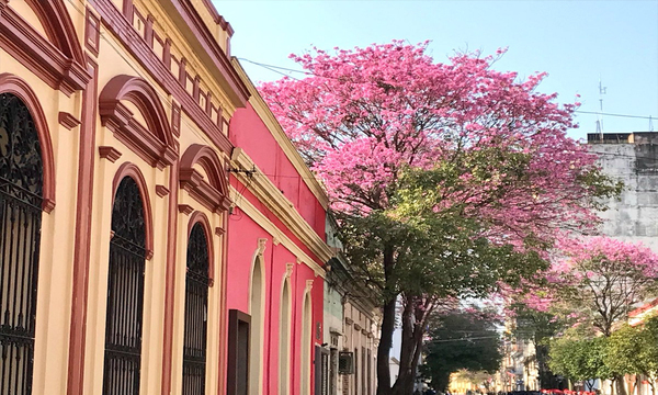Día de la Primavera algunos tips para vivirlo como se debe - OviedoPress