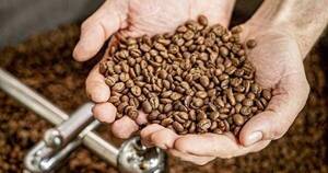 La Nación / Firma argentina de café desembarcará en el país con US$ 300 mil de inversión