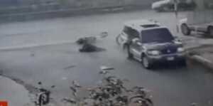 Motoca falleció sobre Madame Linch en accidente de tránsito