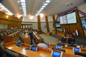 Diputados piden informes al Incoop sobre intervención de la cooperativa San Cristóbal - Política - ABC Color