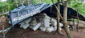 Senad destruye más de 5 mil kilos de marihuana y cuatro hectáreas de la misma droga - Radio Imperio