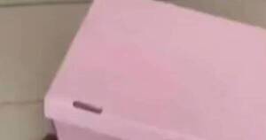 La Nación / De terror: le regalaron una cabeza de chancho y teme que sea una amenaza de muerte