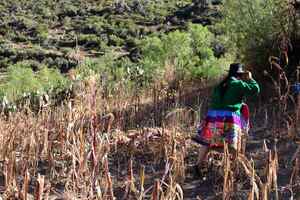 Perú cierra su campaña agrícola con menos siembras por la crisis de los fertilizantes - MarketData