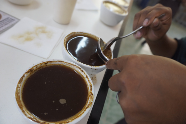 La Taza de Calidad, la ventana al mundo de los cafés especiales bolivianos - MarketData