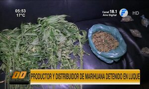 Detienen a presunto productor y distribuidor de marihuana en Luque | Telefuturo