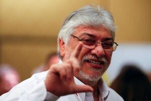 Candidatura de Lugo: “Hay que esperar” para tomar decisión, considera Rícher - Política - ABC Color