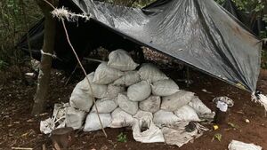 Amambay: Eliminan más campamentos y toneladas de marihuana